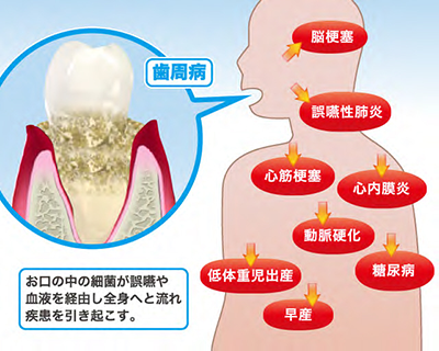 全身への影響