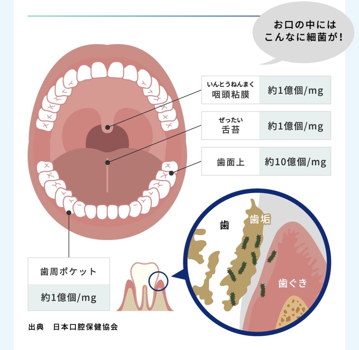 ブログ