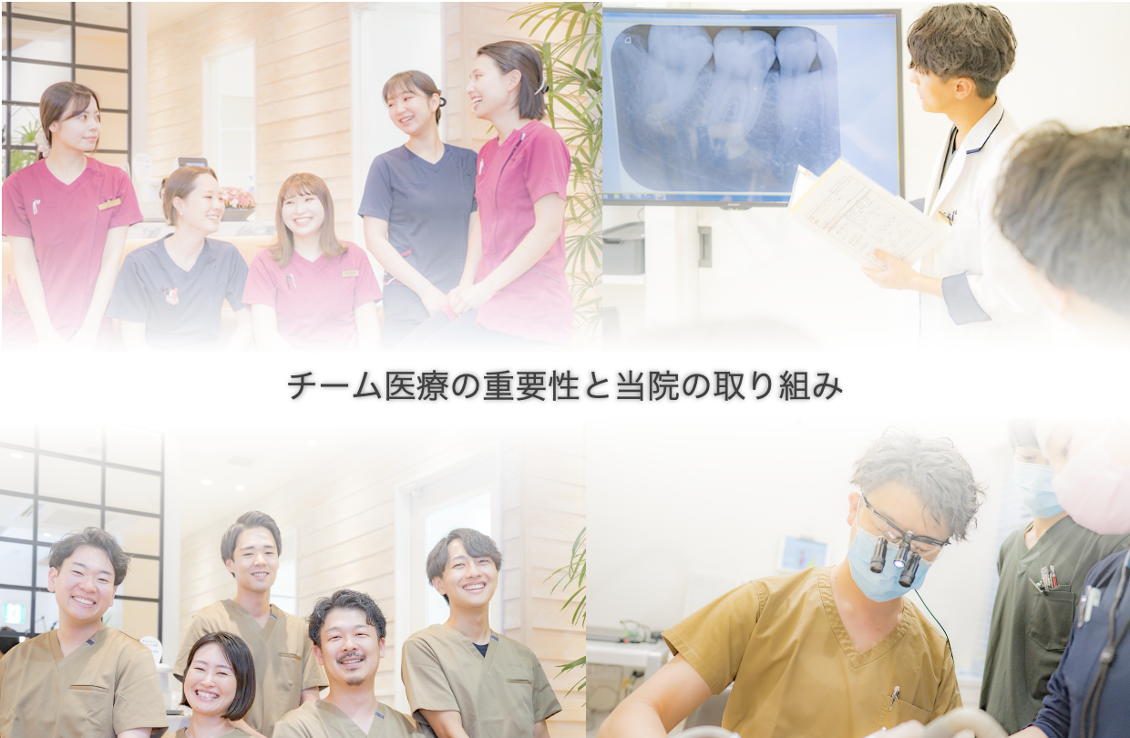 チーム医療